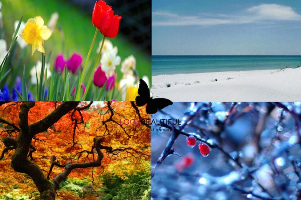 colorimetria-coloriamici-testcromatico-estate-primavera-autunno-inverno